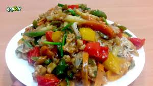 Dolpine Kottu-Veg Normal